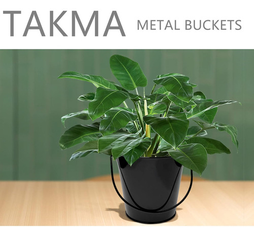 Takma Cubos De Metal Con Asa, Paquete De 6 Cubos De Hierro N