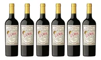 Comprar Vino Uxmal Cabernet Sauvignon 750ml Caja X6 Zetta Bebidas