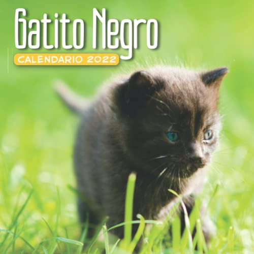 Gatito Negro Calendario 2022: Calendario 12 Meses 2022 - 8 5