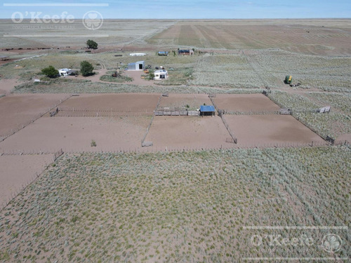 Campo En Venta De 27950 Has En Gral Alvear Mendoza. Armada Para Cria/recria