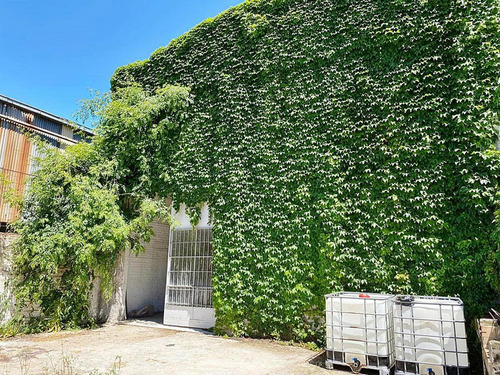 Imagen 10 de 16 de Venta Galpón Con Local En San Isidro