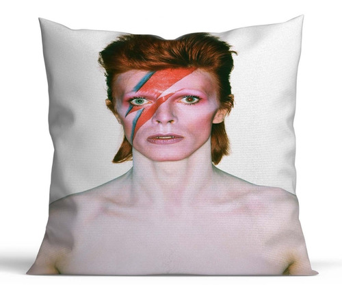 Cojín Decorativo David Bowie D2 (40cm X 40cm)