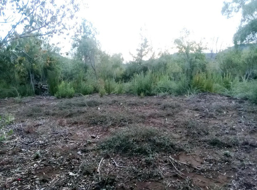 En Venta Parcela De Agrado La Placeta Molina Maule