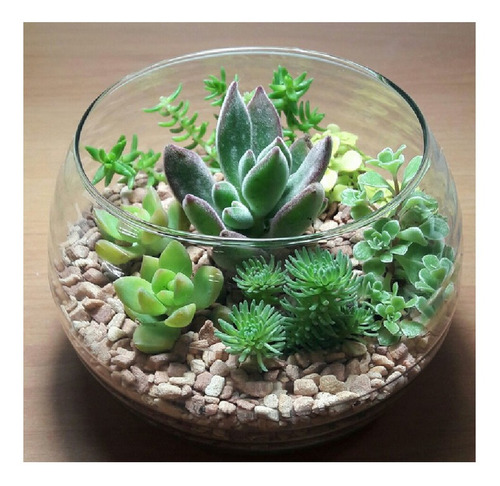 Imagem 6 de 7 de Granitina Ouro Pedrisco Para Aquários E Terrários Nº00 500g