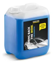 Comprar Shampoo Champu Lavaderos Auto Karcher Bidon 5lts Rm619 Ws