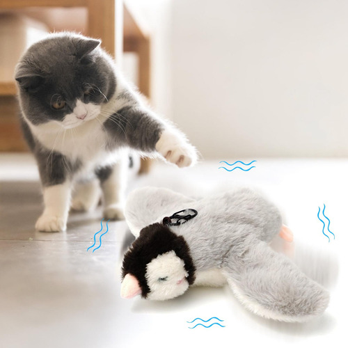 Funda De Tela V Pet Plushss Toy Saps And Makes Noise Para Ga