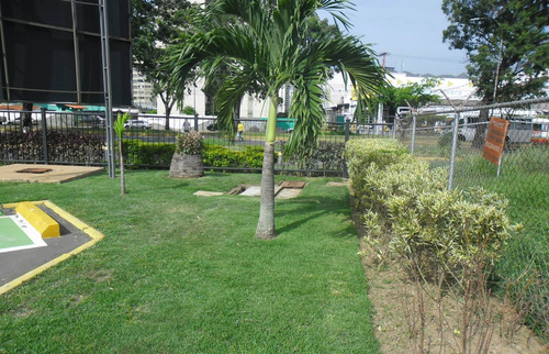 Imagen 5 de 10 de Servicio De Jardinería