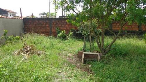 Imagem 3 de 14 de Casa Lado Praia, Com 2 Quartos, Rua Calçada Em Itanhaém.