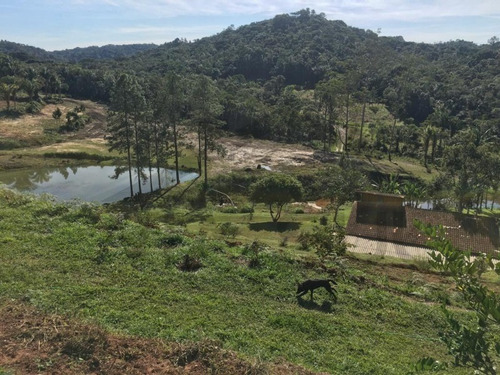 Imagem 6 de 14 de Fazenda Produtiva Com Aprox. 60 Mil Metros De Área Aberta, Cercada Por Mata Nativa E Belezas Naturais. Possuí 600 Pés De Amora Negra + 900 Frutíferas! - 176 - 69951742