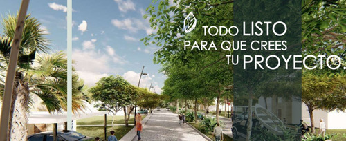 Imagen 3 de 4 de Venta Terreno 10 Min Playa Tulum