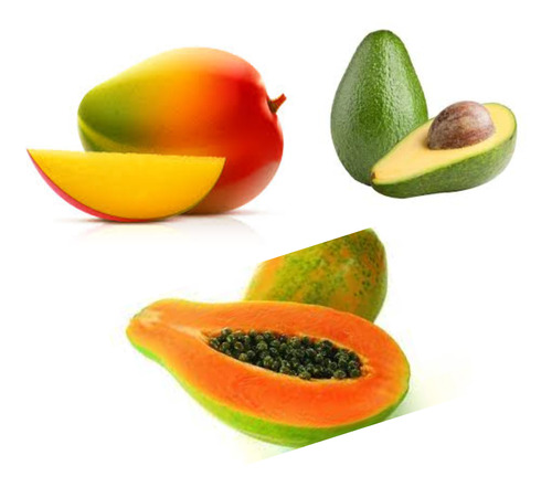 Combo Tropical - 3 Árboles Frutales, Mango,palta,mamón