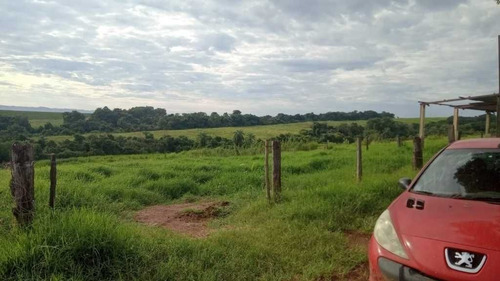 Imagem 12 de 29 de Sitio Com 63 Hectares De Leite Casa Branca Sp 6.500,000,00 - 44800