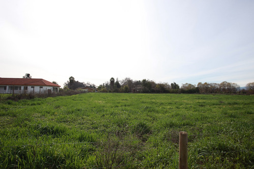 Venta Parcelas Nenquen, Santa Cruz.