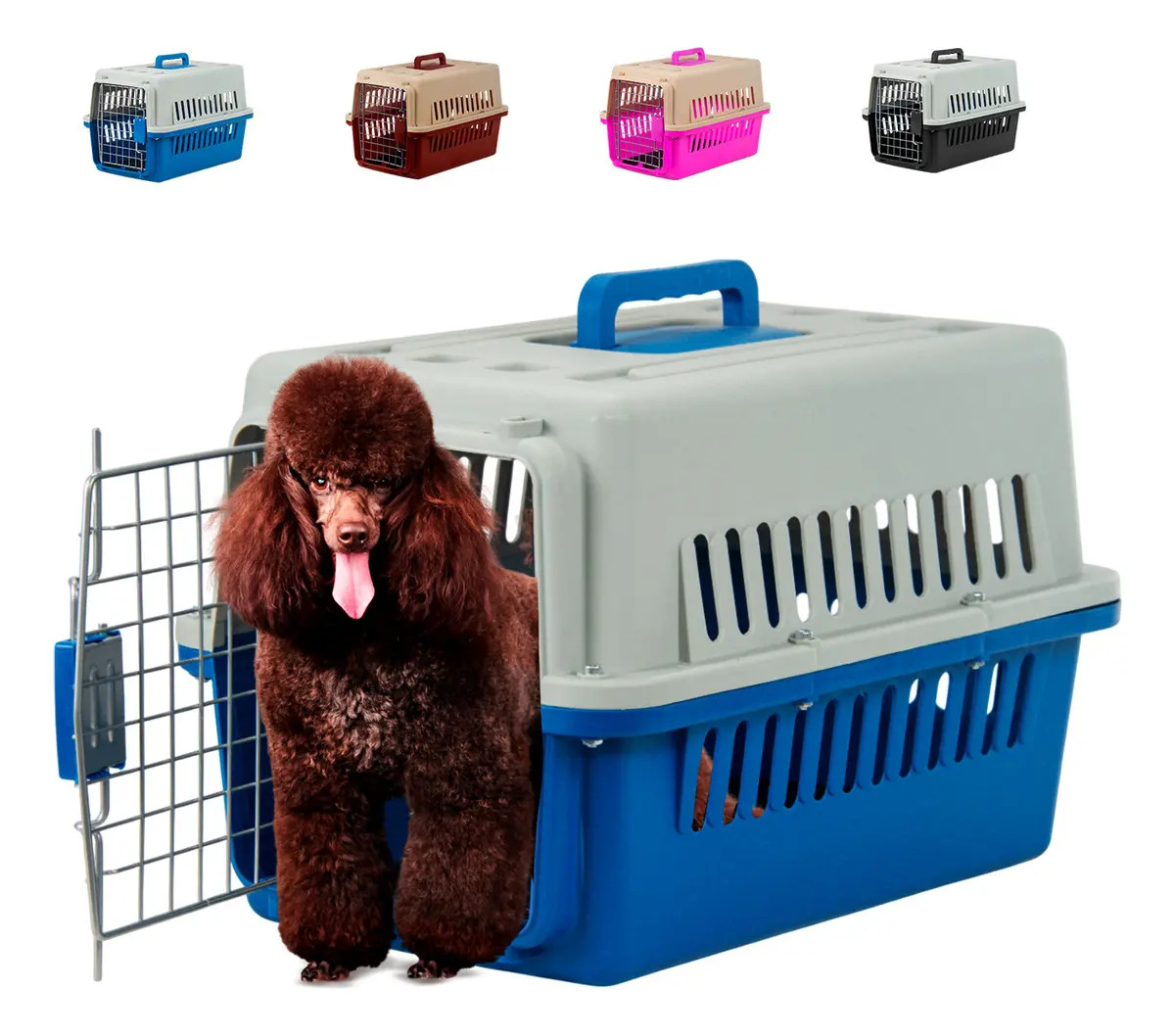 Jaula para mascotas Cuory Transportadora color azul tamaño mediano 31x48x31cm