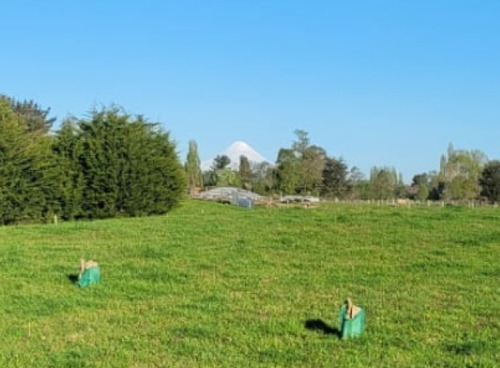 Se Vende Gran Parcela Vista Volcán Osorno, Casma, Frutillar