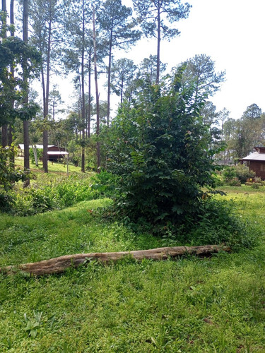 Lotes En Barrio Cercado La Cueva Del Teyu San Ignacio
