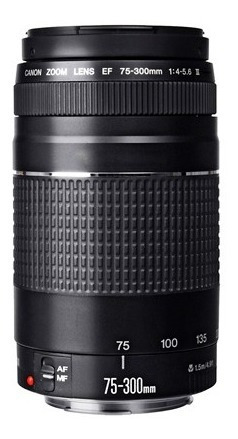 Imagen 3 de 10 de Canon Eos Rebel T100 Kit Premium 16gb Lente Ef 75-300mm Wifi