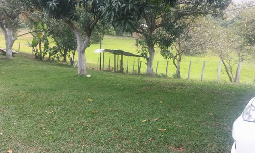 En Venta Finca Ideal Para Ganadería, Cría De Caballos Entre Otras Actividades.