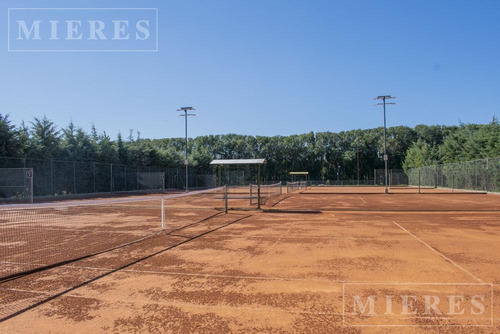 Imagen 3 de 8 de Lote En Venta En Área 11 En San Sebastián, Interno