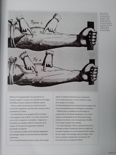 Historia Del Corazón. Astrazeneca. 2007