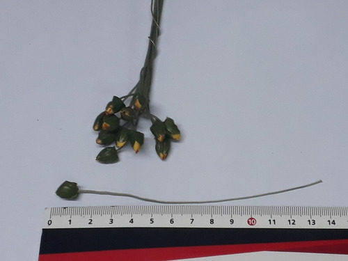 Pistilos X 12 Verdes Grandes Para Armar Flores Artificiales