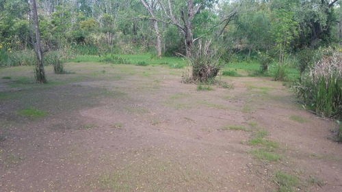 Imagen 5 de 7 de Terreno - Canal Arias