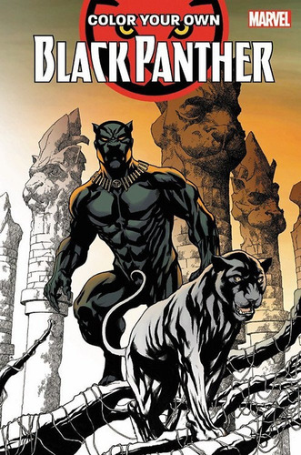 Color Your Own Black Panther Tapa Blanda
