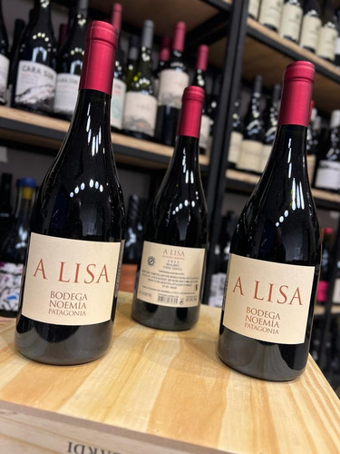 Vino A Lisa Malbec - Bodega Noemia - Organico - Rio Negro