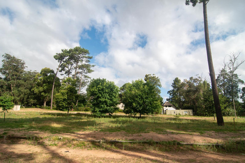Venta Terreno, A Metros De La Playa, Pinares Punta Del Este
