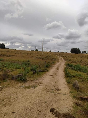 Chacra De 7 Has 2135 M2 Puntas De José Ignacio