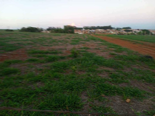 Imagem 3 de 7 de Lançamento De Chácaras De 800m2, Ótima Localização, Chácaras Muradas Com Portão Eletrônico, Com Energia E Água - Te00221 - 70852378