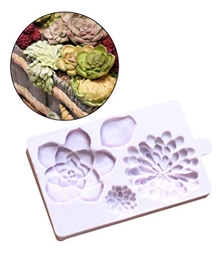 Lindas Plantas De Flores Suculentas Diy 3d Molde De Sil