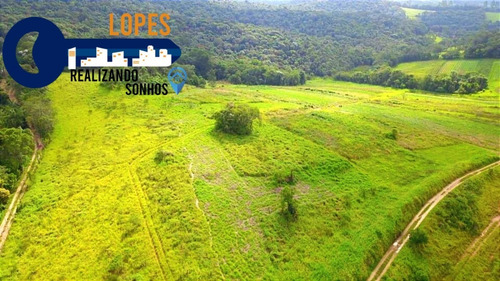 Imagem 11 de 26 de 17o Terrenos Bem Localizados