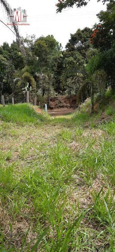 Excelente Imóvel, Todo Arborizado, Fácil Acesso, Pomar, Internet À Venda, 4693 M² Por R$ 300.000 - Pedra Bela/sp - Ch0761