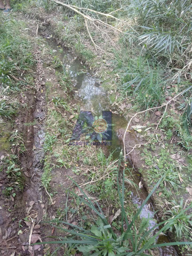 Imagem 8 de 10 de Chácara À Venda Na Avenquinha - Campo Alegre/sc - 106