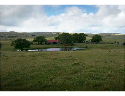 Campo En Uruguay, Aiguá, Ruta 13