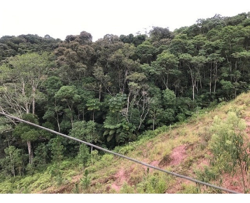 Imagem 1 de 21 de Rural Para Venda, 0 Dormitórios, Dos Pereiras (caucaia Do Alto) - Cotia - 2886