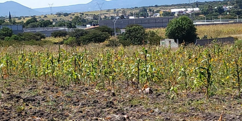 Terreno Comercial En Venta, Carretera 57 Hacia San Luis Potosi, 10,000mts Excele
