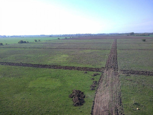 Venta Lote Las Margaritas