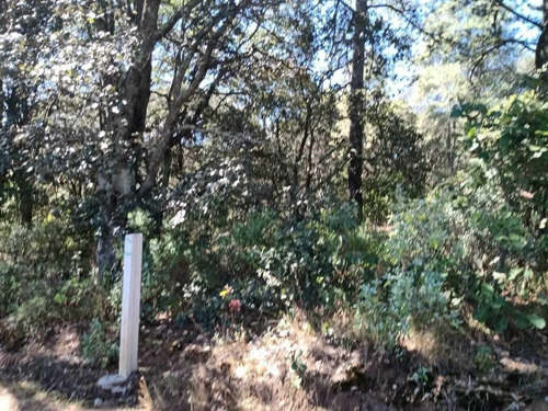 Imagen 2 de 7 de Terreno Con Excelente Ubicacion