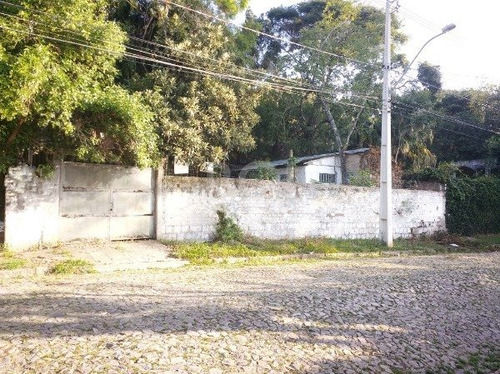 Terreno Em Vila Conceição - Mi269249