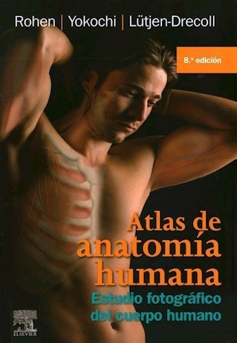 Atlas De Anatomía Humana - Rohen, Johannes W. (papel