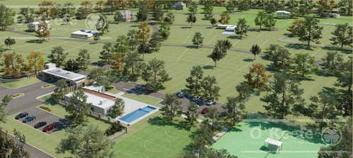 Tierra Para Desarrollo En Venta Sobre Ruta 3 Km 186, Las Flores