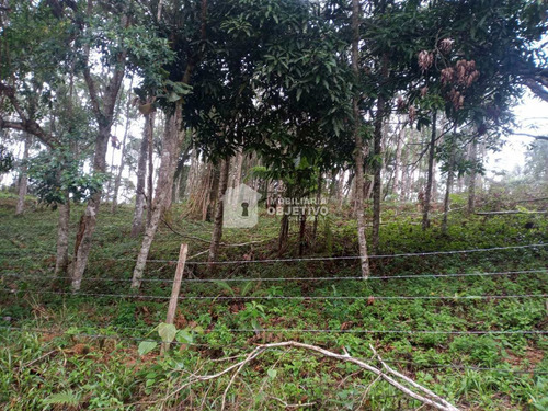 Imagem 21 de 25 de Terreno, Dos Neves (caucaia Do Alto), Cotia - R$ 75 Mil, Cod: 4255 - V4255