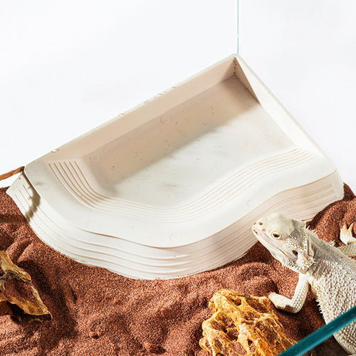 Baño De Tortugas Con Rampa, Plato De Alimentación De