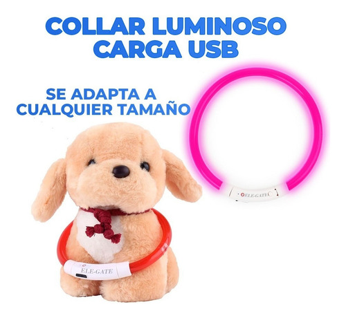 Collar De Perro Con Luz Led Recargable Usb Talla M Ele-gate