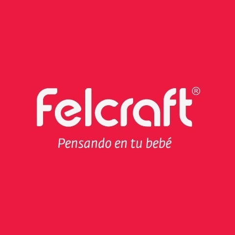 Imagen 8 de 9 de Cochecito Bebé Jogger 3 Ruedas Felcraft Camri + Huevito