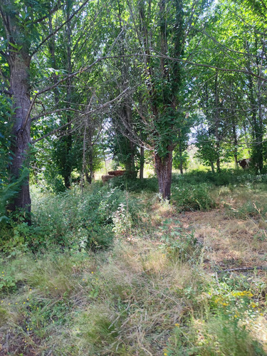 Venta De Terreno Agricola En Santa Juana