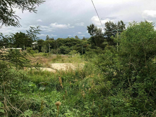 Terreno En Renta En Comitan