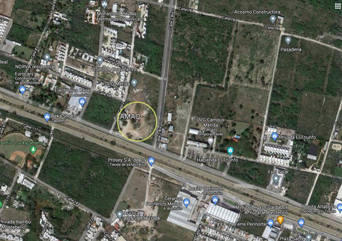 Terreno/lote En Venta En Merida, Santa Gertrudis Copo, Para Desarrollar, Listo.